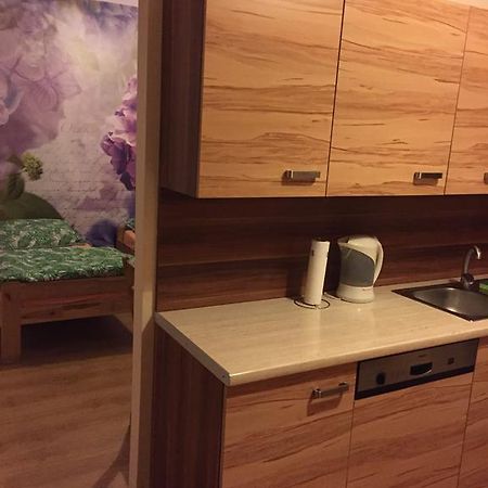 Apartamento Kawalerka Fredry 3/13 Poznan Habitación foto